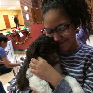 Meet your Posher, Precious